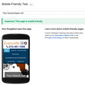 Google Mobile Friendly Test Results for Evansville SEO